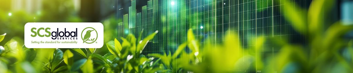 Understanding ESG Assurance: A Comprehensive Introduction