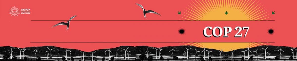 Cop27 banner
