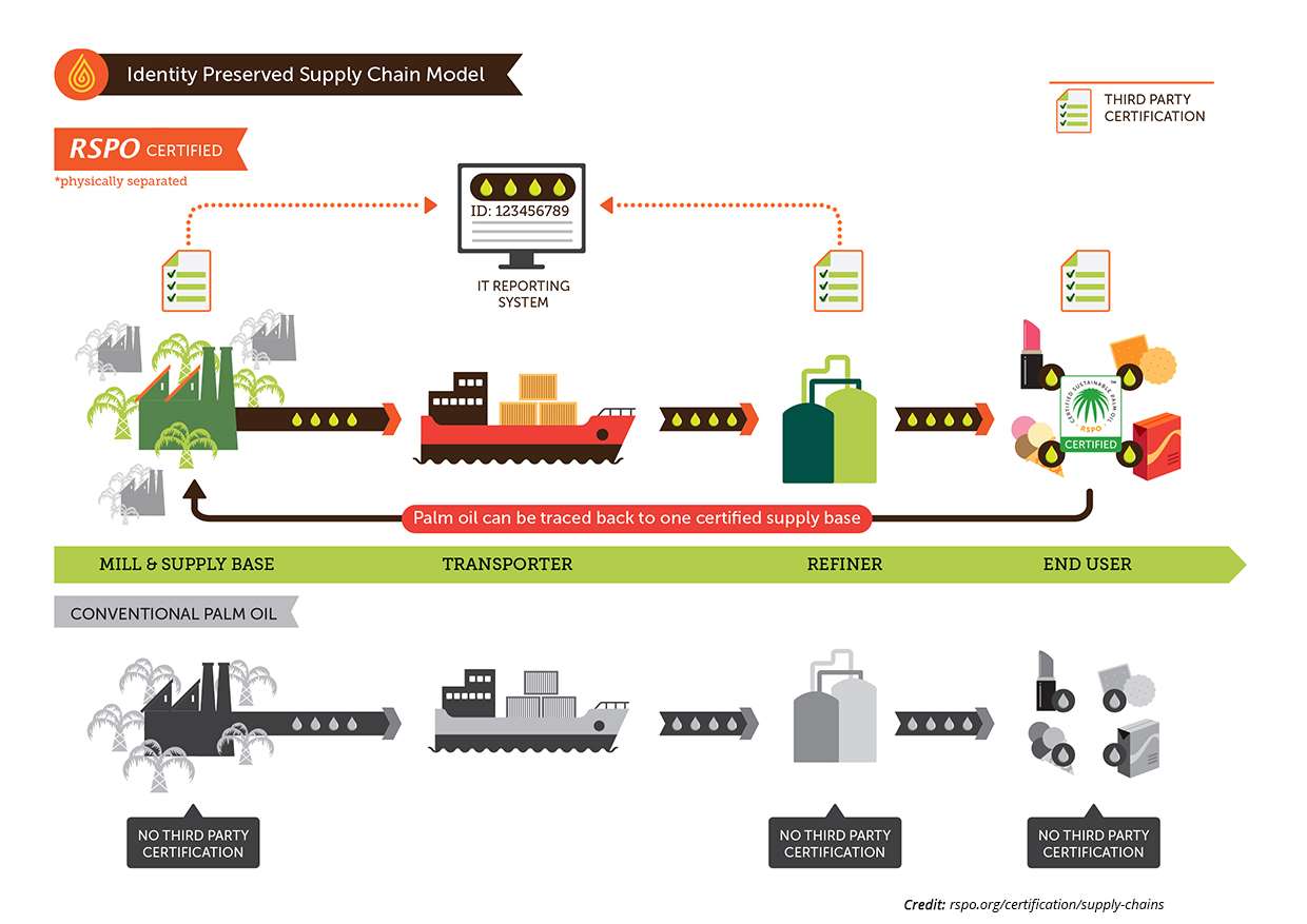 Infographic of RSPO supply chain model