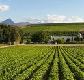 SCS Verifies First Agriculture Land Management Carbon Offset Project in Africa  under Verra’s Improved Agricultural Land Management (VM0042) Methodology 