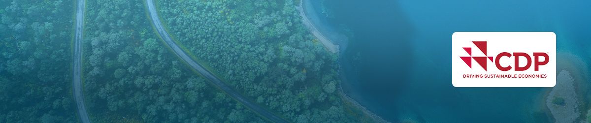 CDP Disclosures – Planning Tips for Successful Reporting in 2025