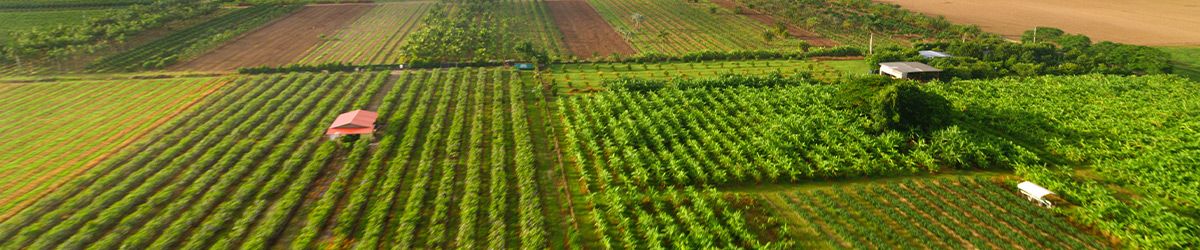 Organic and Food Fraud: Ensuring SOE Compliance
