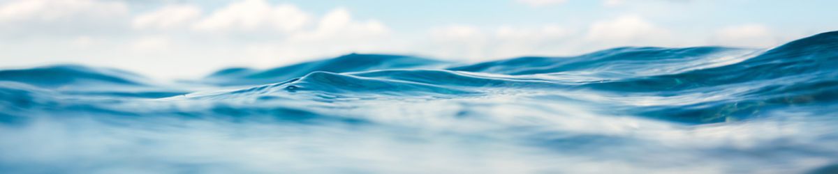 SCS Global Services Announces New Certification Program for Water Stewardship and Resiliency 